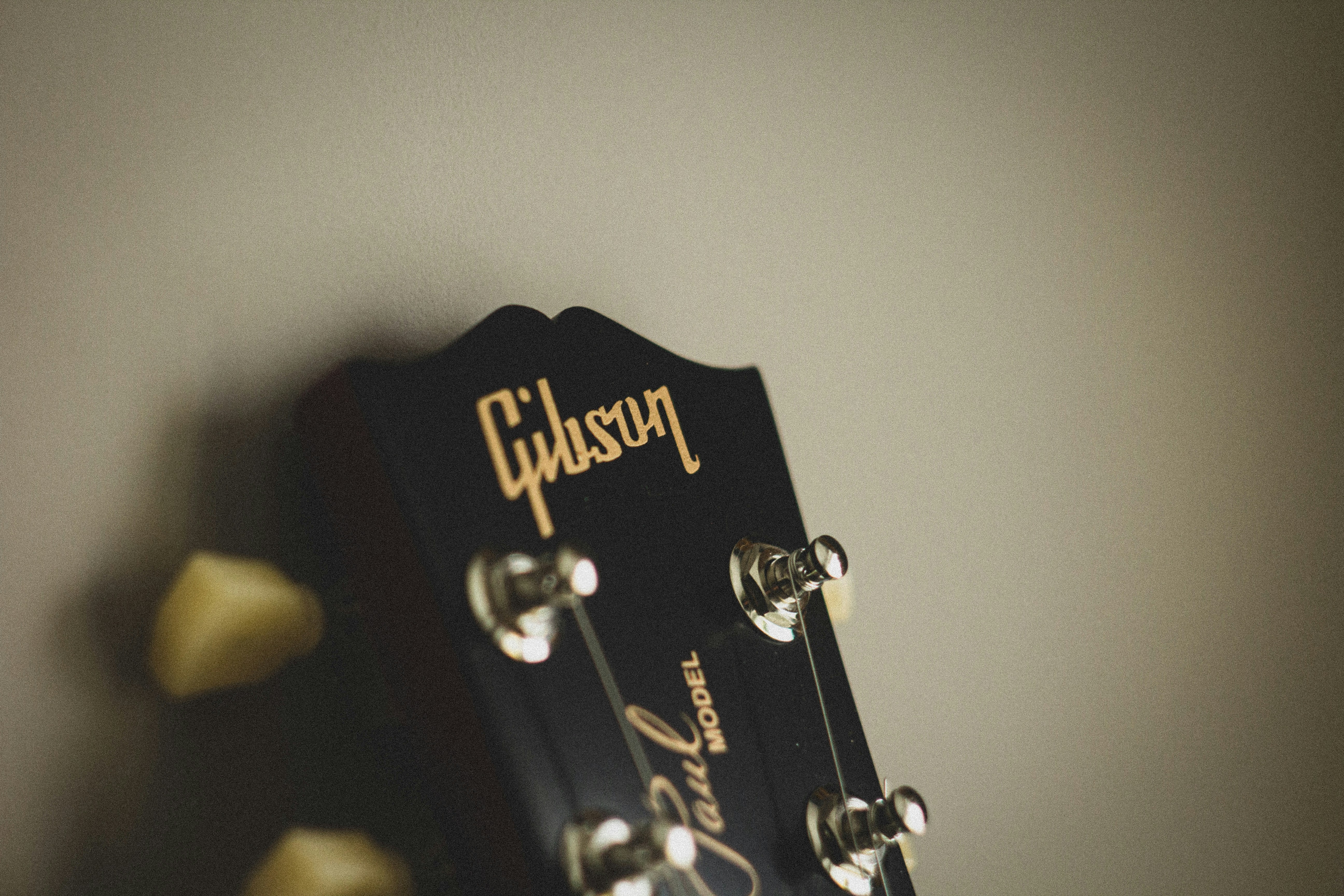 Gibson Guitar Showcase